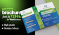 design a professional brochure, company profile, or catalog