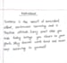 provide professional handwritten work