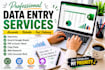 do accurate data entry , exel , web research and pdf conversion