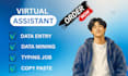 be your virtual assistant for data entry, data mining, copy paste, web research