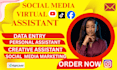 executive virtual assistant general gohighlevel social media virtual assistant