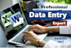 be your data entry specialist