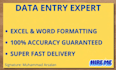 do virtual assistant data entry and excel data formatting