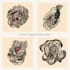 create a custom organic ink line art illustration