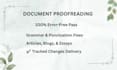 proofread and edit your article, document or blog post