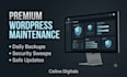 provide premium monthly wordpress maintenance and security