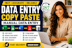 copy paste and data entry