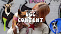 pet and lifestyle ugc ads by a dog trainer