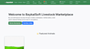 built a professional php mvc marketplace website saas app