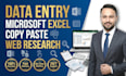 do accurate data entry, excel, copy paste, and web research