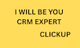 crm expert hubspot crm