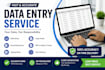 do past and accurate data entry, typing, copy paste work