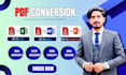 do excel data entry, convert pdf to excel, word and copy paste
