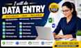 do accurate data entry, copy paste, web research, and excel data entry