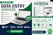 do accurate data entry and copy paste task