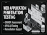 make a professional pentest on your website