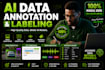 provide quality manual ai data annotation and labeling