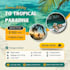 create proffessional aisocial media posters and ads