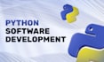 develop a custom python program for your business