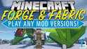 a custom forge or fabric mod for minecraft