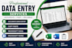 do accurate data entry, copy paste, typing and excel work