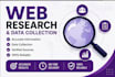 do web research , data collection and internet research