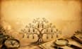find your long, lost relatives, I do expert genealogy research