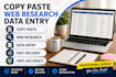 do copy paste, data entry and web research