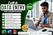 do accurate data entry, copy paste, excel, web research and PDF conversion