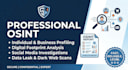 do professional osint investigation cyber research and website security analysis