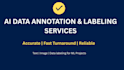 provide an accurate ai data annotation and labelling services