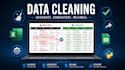 clean, format and standardize your  data