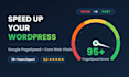 speed up your wordpress website and boost google pagespeed score
