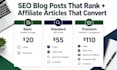 write SEO blog posts and affiliate articles