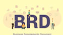write professional brd, and improve your website operations