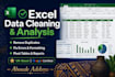 clean, organise and analyse your excel data professionally
