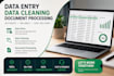 do data entry, data cleaning and document processing
