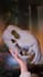 make you a custom mask