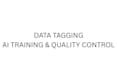 do artificial intelligence data evaluation and QA