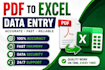 do accurate PDF to excel and data entry