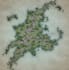 create a custom fantasy map