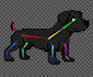 develop a professional 2d game in unity