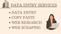 be your reliable data entry virtual assistant