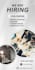 design a professional modern and creative banner