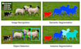 develop custom yolo object detection
