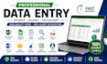 do accurate data entry, excel data