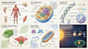 create anatomy, medical, and scientific illustrations