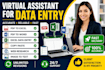 virtual assistance for data entry