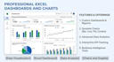 create professional excel dashboards and charts