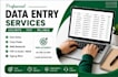 provide fast and reliable data entry services